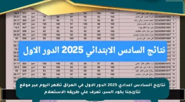 نتائج السادس إعدادي 2025 الدور الأول في العراق تظهر اليوم عبر موقع نتائجنا بكود السر، تعرف على طريقة الاستعلام